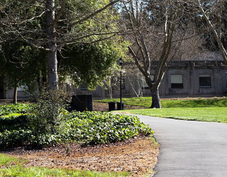 This is a picture of beautiful campus